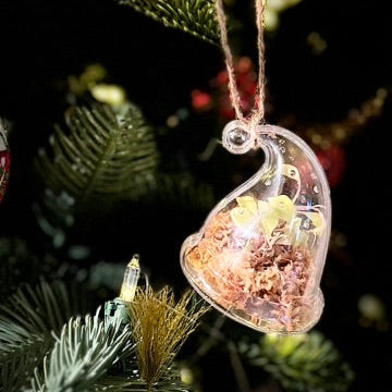 Ornament Propagation/Tissue Culture Kit