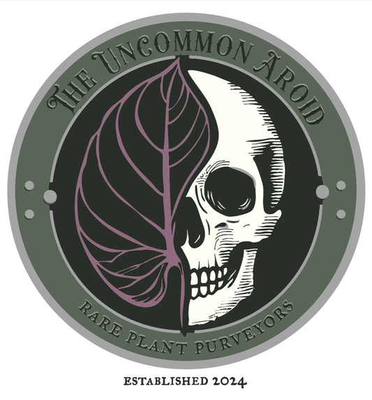 The Uncommon Aroid - 4" Decal