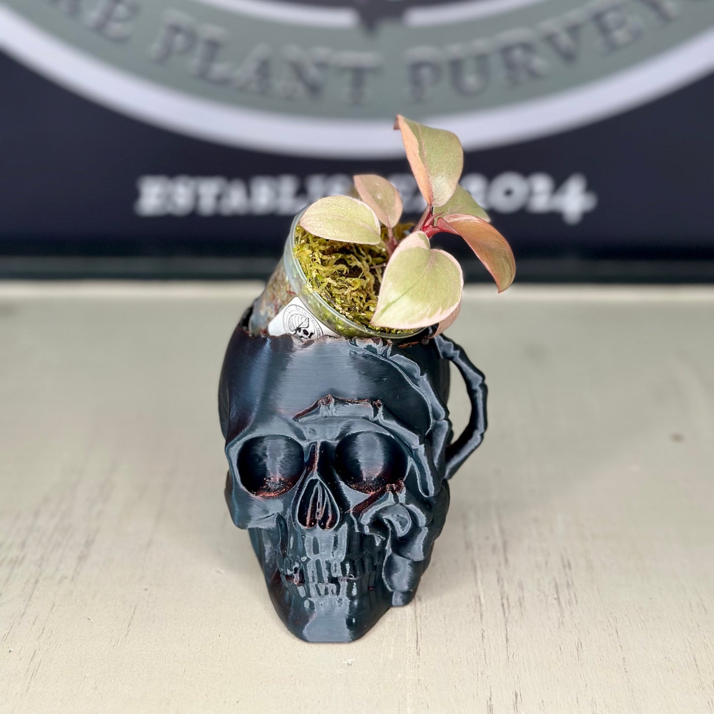 2.5" Skull Planter