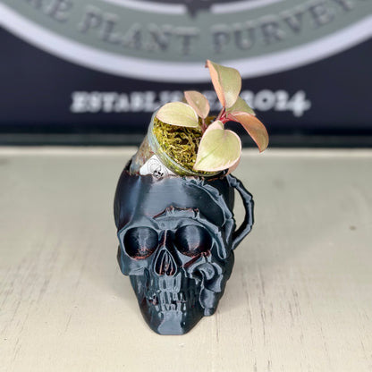 2.5" Skull Planter